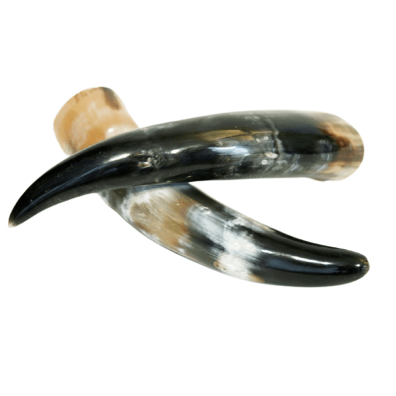 Premium Natural Buffalo Drinking Horns – Polished & Unpolished