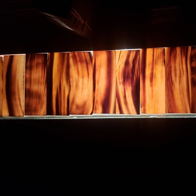 Natural Buffalo Horn Plates