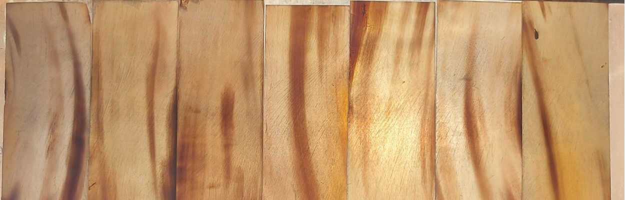 Natural Buffalo Horn Plates