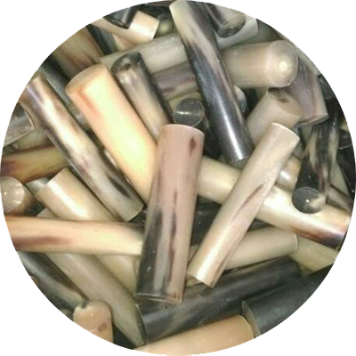 Buffalo Horn Rolls 58