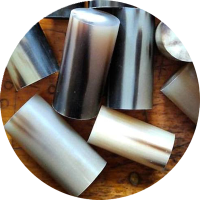 Buffalo Horn Rolls 223