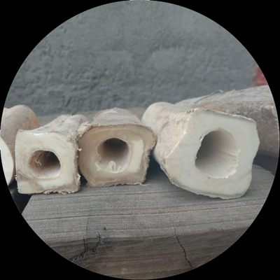 Natural Buffalo Bone Pipes