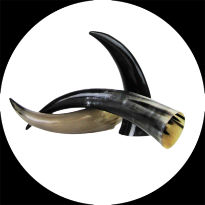 Natural Buffalo Drinking Horn Polished