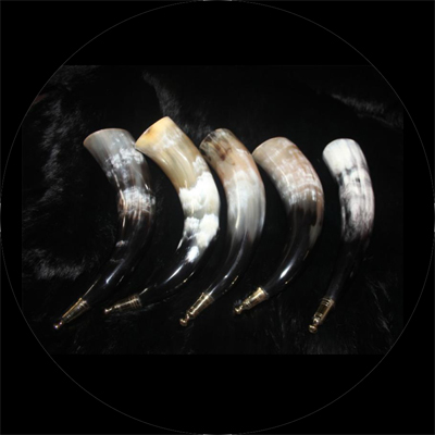 Natural Buffalo Drinking Horn Polished 26