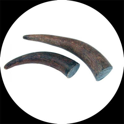 Natural Buffalo Horn Tips