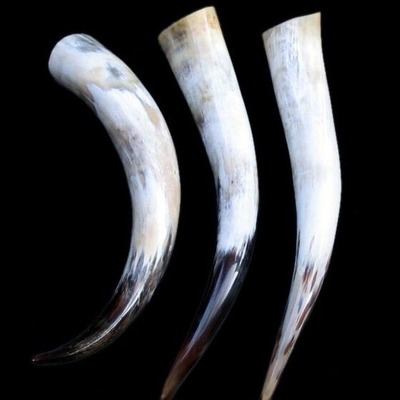 Natural Buffalo Drinking Horn Polished 30