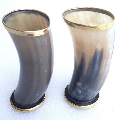 Natural Buffalo Horn Glasses 12