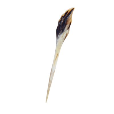 Natural Buffalo Horn Hair Pins 30