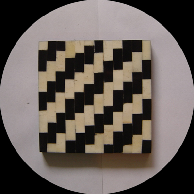 Natural Buffalo Bone Coasters 20