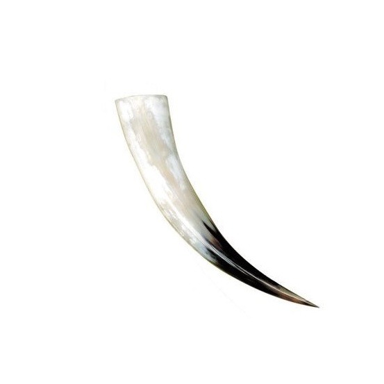 Natural Buffalo Drinking Horn Polished 35