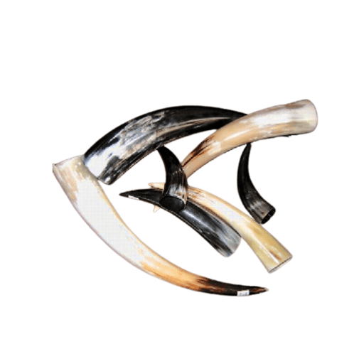  Natural Buffalo Drinking Horn Polished 40