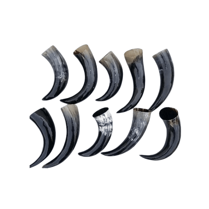 Natural Buffalo Drinking Horn Polished 45