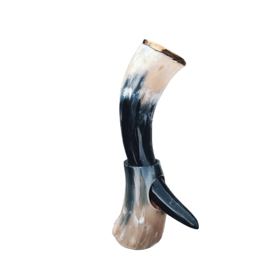 Natural Buffalo Drinking Horn Polished 55