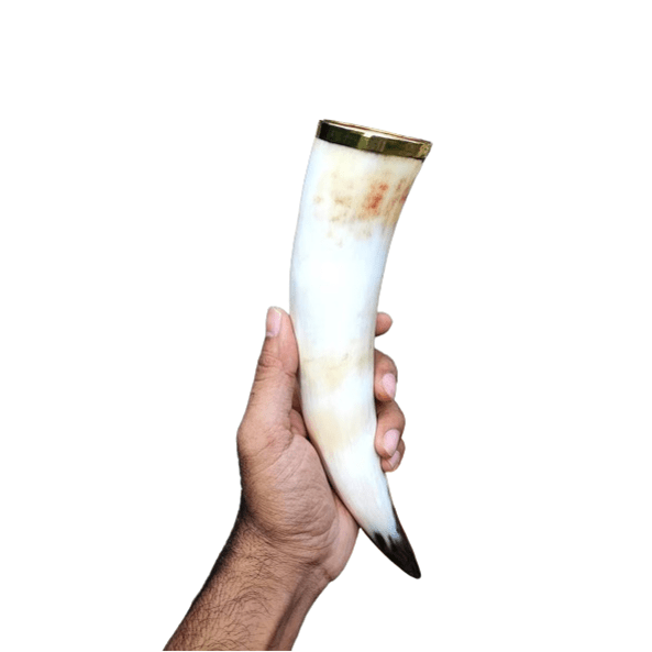 Natural Buffalo Drinking Horn Polished 60