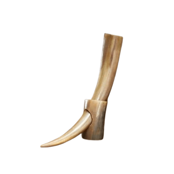  Natural Buffalo Drinking Horn Polished 65