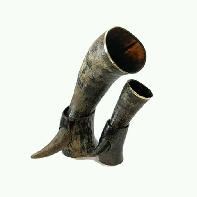 Natural Buffalo Drinking Horn Polished 70