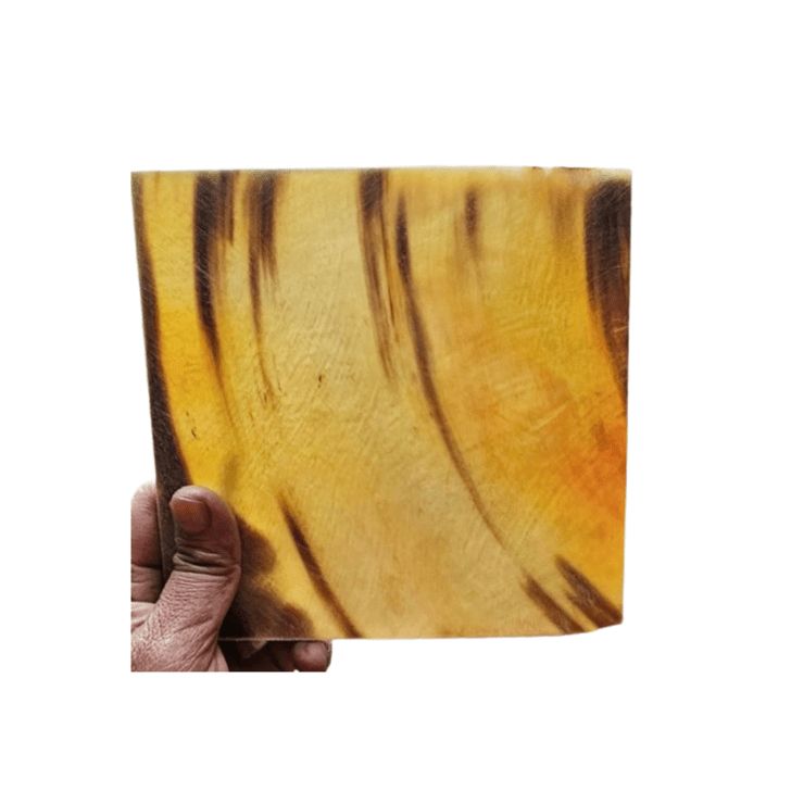  Natural Cattle Horn Plates 115