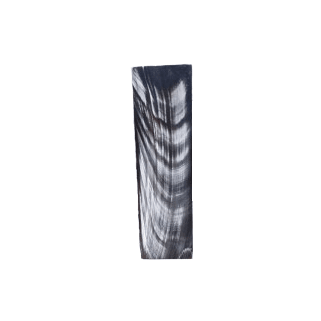 Natural Buffalo Horn Plates 170