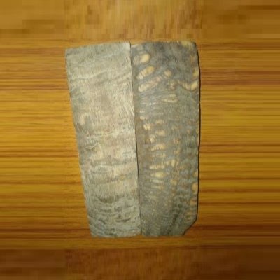 Natural Buffalo Horn Plates 369