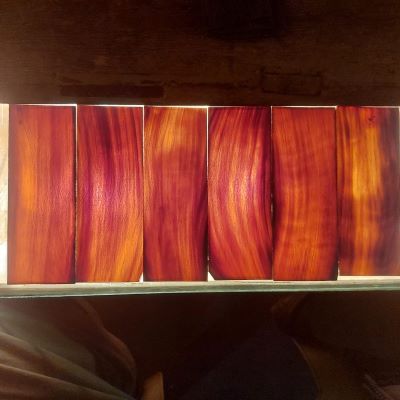 Natural Buffalo Horn Plates