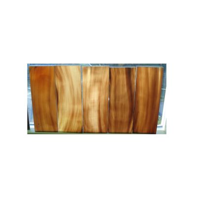 Natural Buffalo Horn Plates 85