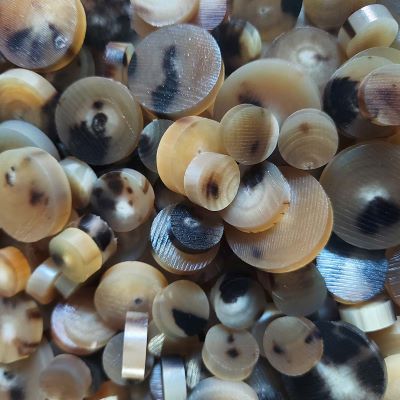 Light Color Cattle Horn Button Blanks – Elegant, Natural & Sustainable