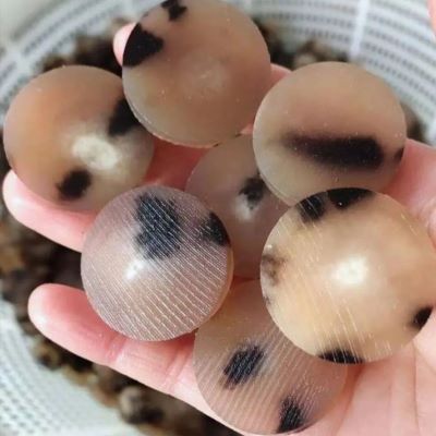 Natural Buffalo Horn Button Blanks 14