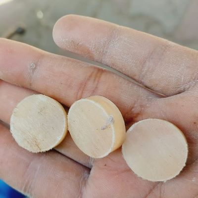 Spotless Cattle Horn Button Blanks – Smooth, Clean & Natural Finish