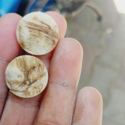 Skin Color Cattle Horn Button Blanks – Soft, Natural & Elegant Look