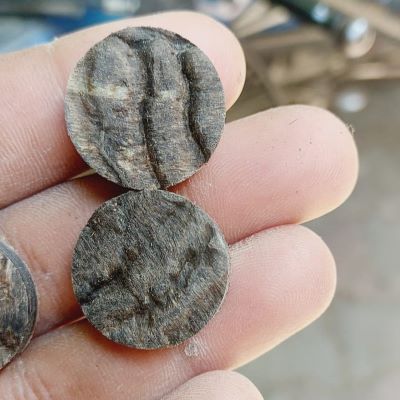 Skin‑Tone & Black Cattle Horn Button Blanks – Striking, Natural Contrast