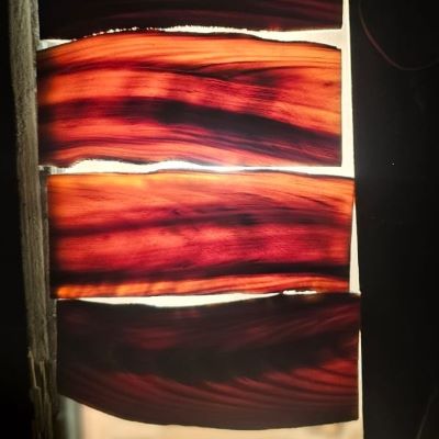Buffalo Curved Horn Plates 59