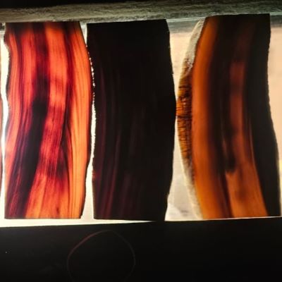 Buffalo Curved Horn Plates 60