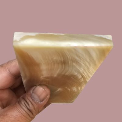 Natural Buffalo Horn Plates 378