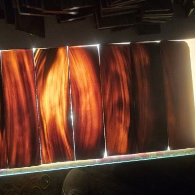 Natural Buffalo Horn Plates 380
