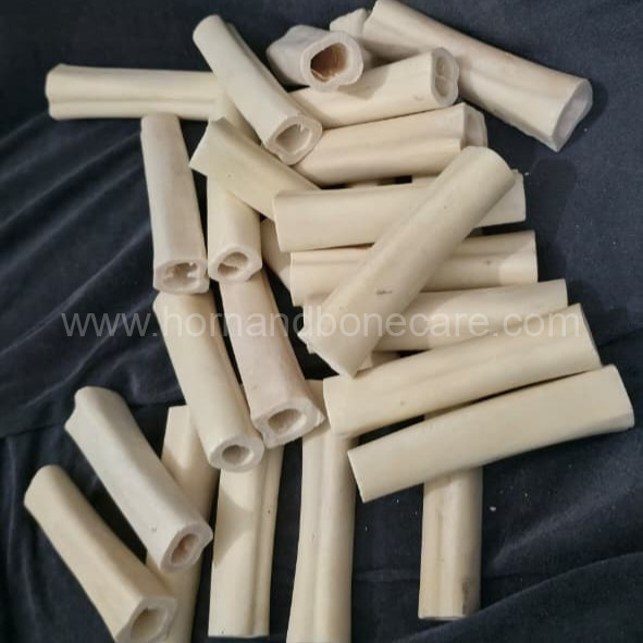 Natural Buffalo Bone Pipes for Crafting - Wholesale & Export | India