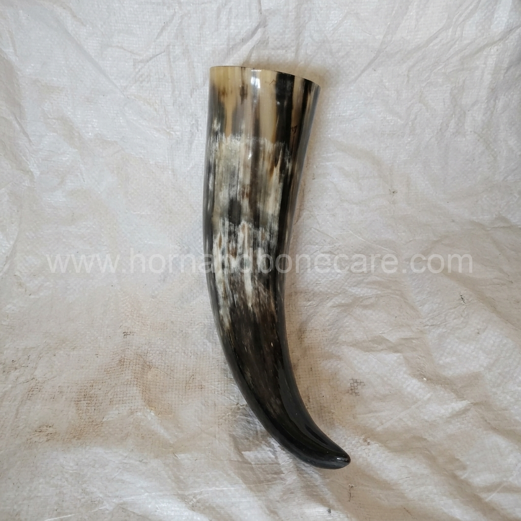 Natural Buffalo Viking Drinking Horns – 6 Inch - Wholesale & Export | India