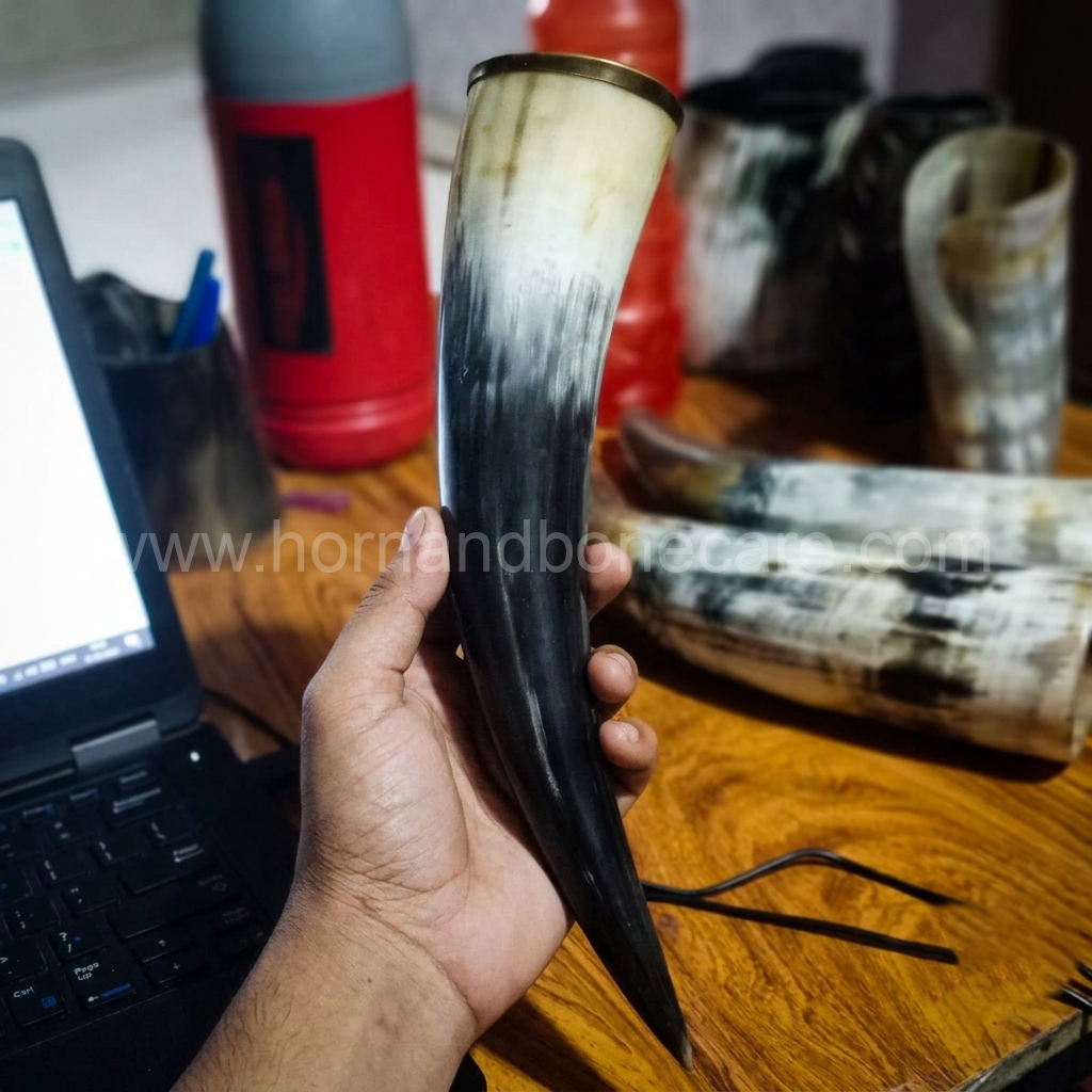 Natural Drinking Horns For Special Occasion - Wholesale & Export | India